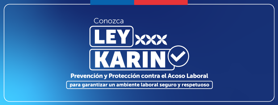 Ley Karin